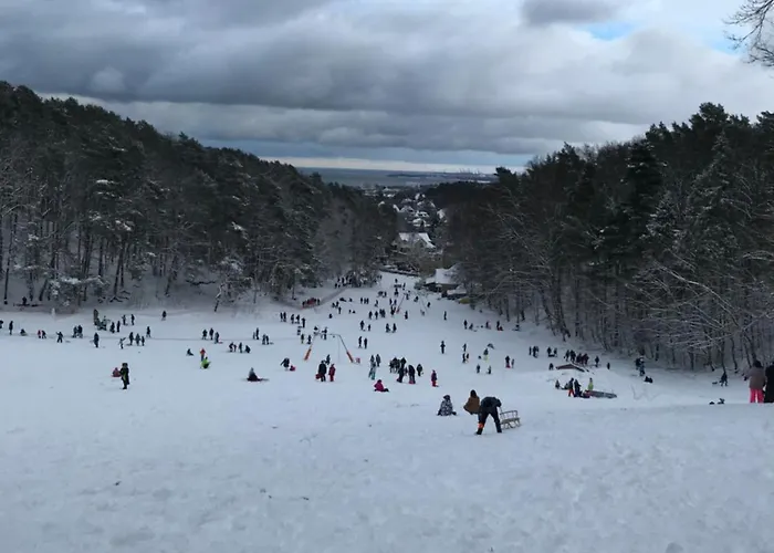 Lägenhet Okrzei 15 - Poczuj Sie W Domu